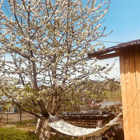Holiday home Casa Cataleya